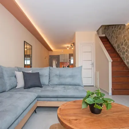 Gold Olive Apartment *